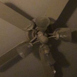 Meet your Posher, Ellen